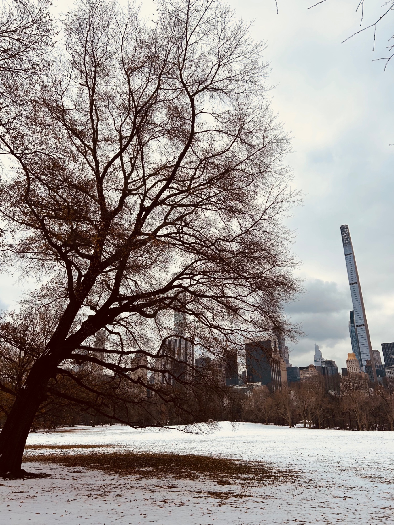 Central Park in inverno con grattacieli di New York sullo sfondo